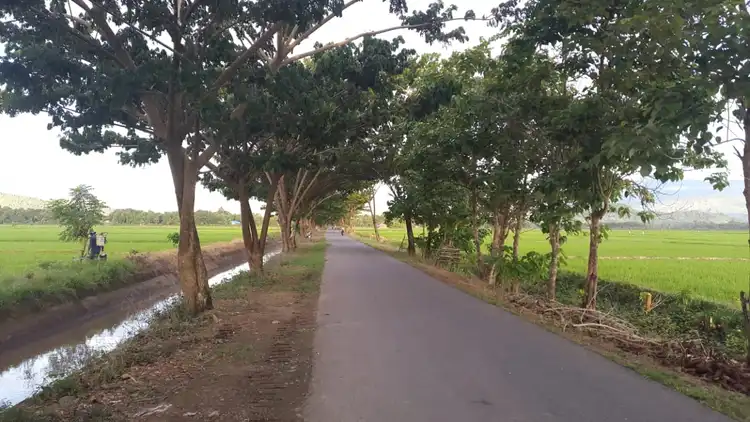 Banner Beranda Website